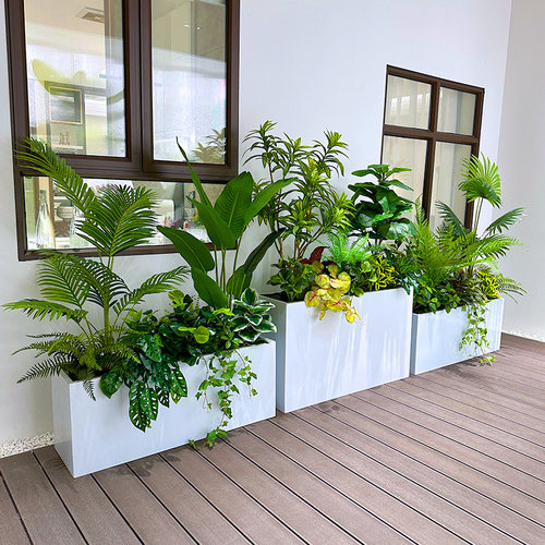 wo+仿真绿植树造景花箱绿植搭配