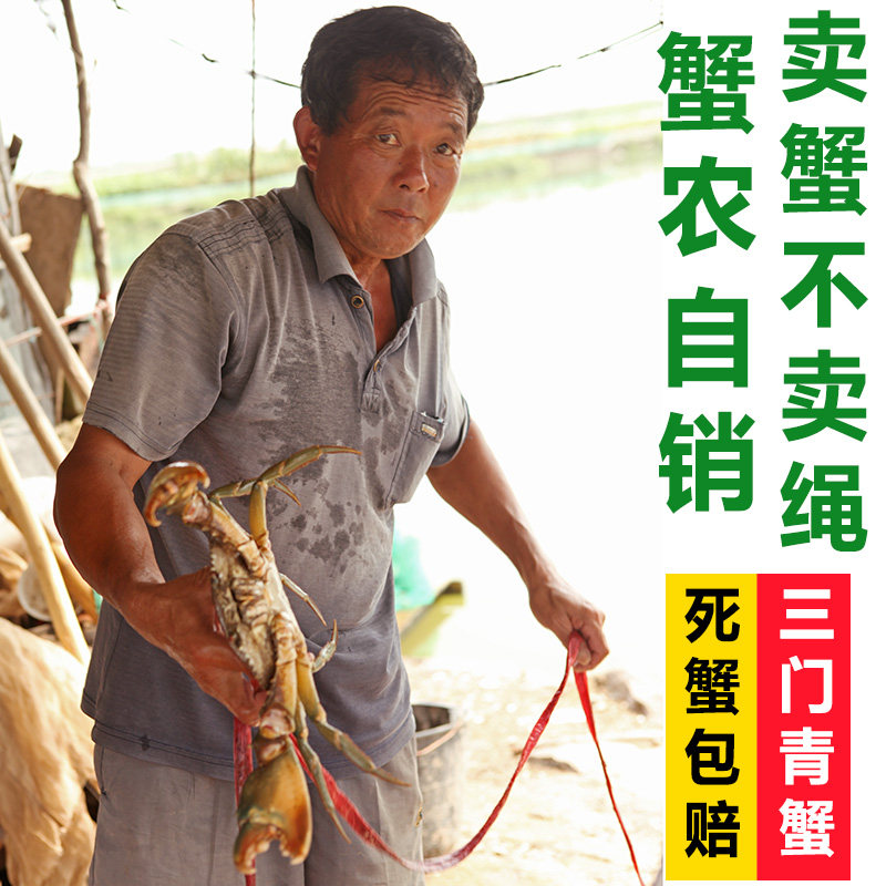 三门青蟹小海鲜鲜活大红膏螃蟹水产礼盒锯缘青蟹蝤蛑红鲟软壳迷踪