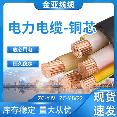 高低压铜芯电力电缆金亚线缆