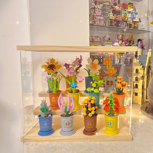 迷你咖啡杯多肉盆栽迪库积木绿植