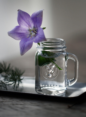 迷你玻璃瓶摆件可爱复古zakka