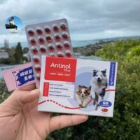 New Zealand local agent purchase Antinol Plus Anshide Cat Cat Enhanced Edition EAB-277 Joint chondroitin thumbnail 7