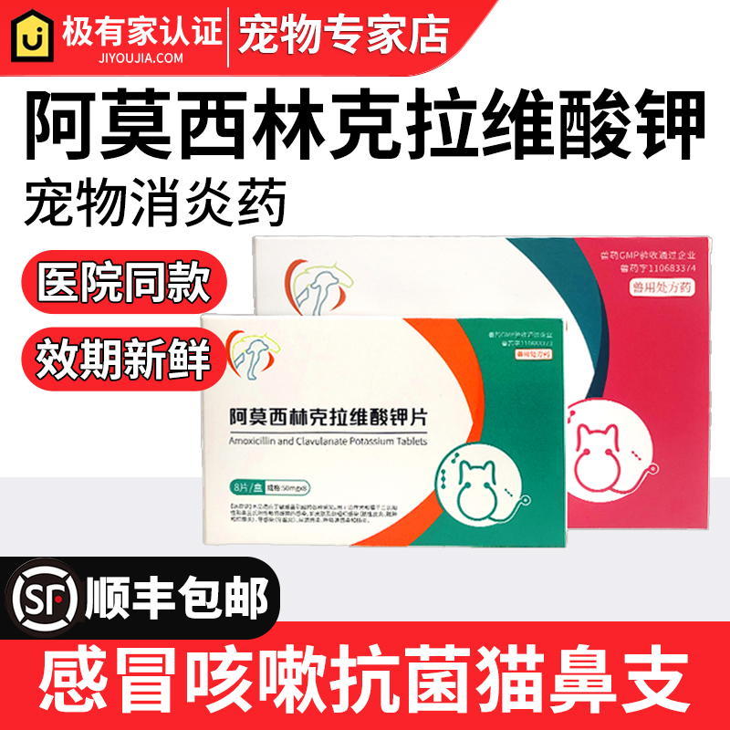 中农动宠物消炎药猫鼻支阿莫西林