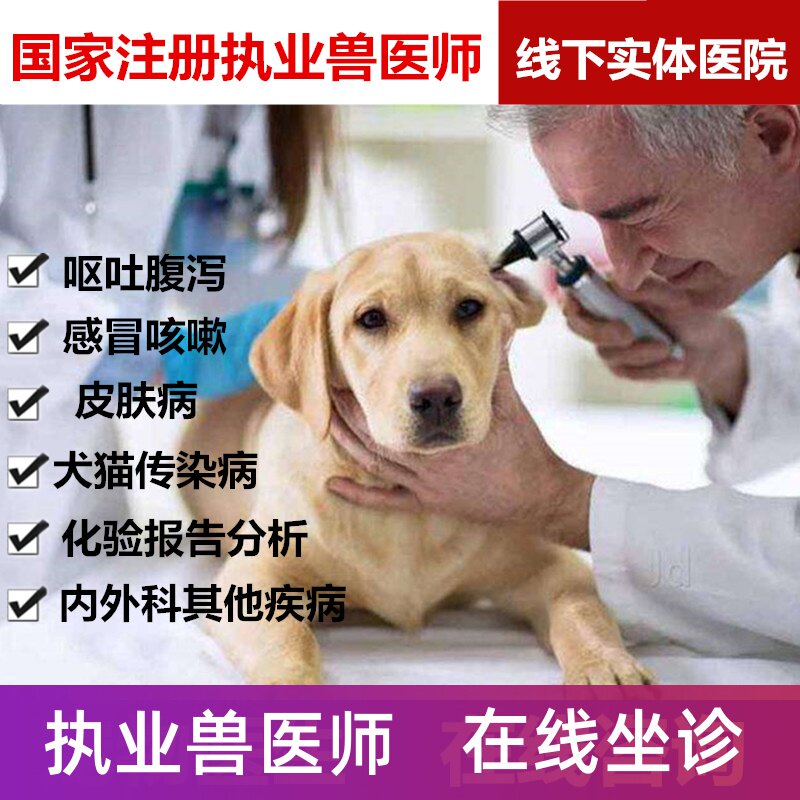 宠物医生兽医在线咨询犬猫狗狗生病问诊执业兽医师猫狗皮肤病咨询