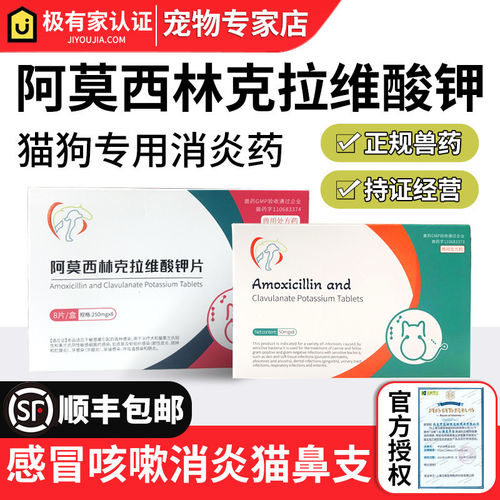 阿莫西林克拉维酸钾速猫诺消炎药