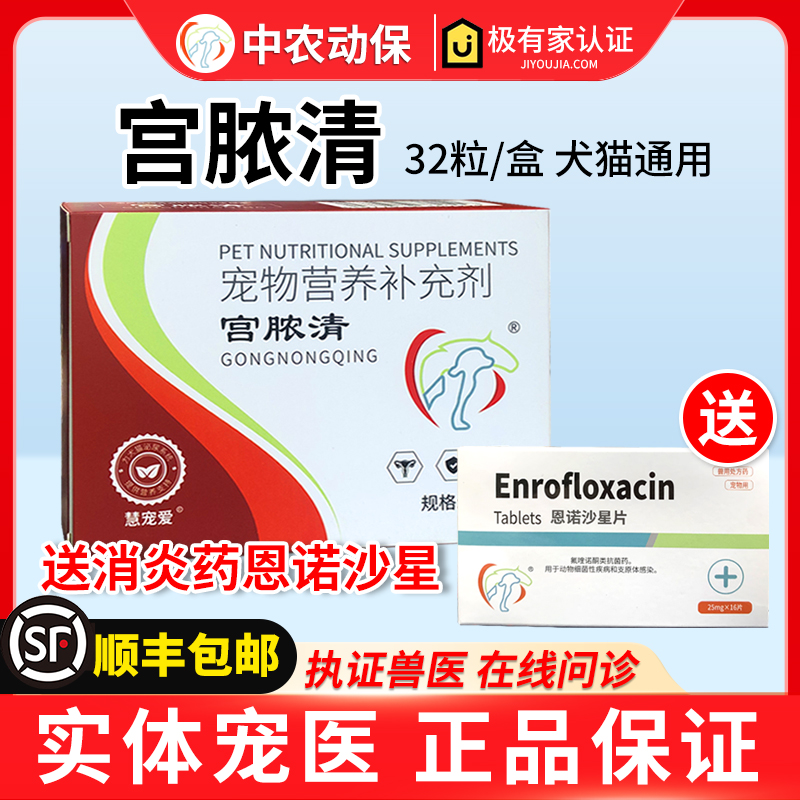 宫脓清宠物子宫蓄脓感染假孕恶露