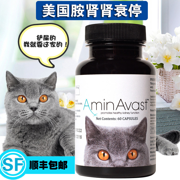 美国胺肾猫肾衰停猫用肾衰停活肾降磷降肌酐慢性肾衰竭猫肾病用药|msdalam kategori haiwan peliharaan/makanan haiwan dan bekalan, Cat/produk penjagaan kesihatan anjing - dari Buy2taobao.com untuk memberikan perkhidmatan ejen Taobao profesional membeli
