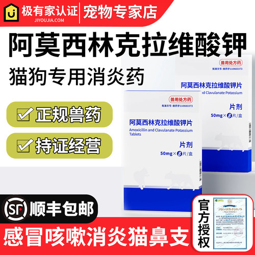 阿莫西林克拉维酸钾速猫诺消炎药