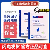 高免因子狗狗猫咪术后恢复鼻支杯状病毒提高免疫猫瘟传腹营养皮肤