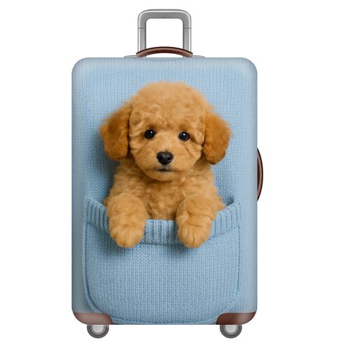 牛仔系列27泰迪狗弹力箱套拉杆箱旅行旅游登机行李皮箱保护罩防尘