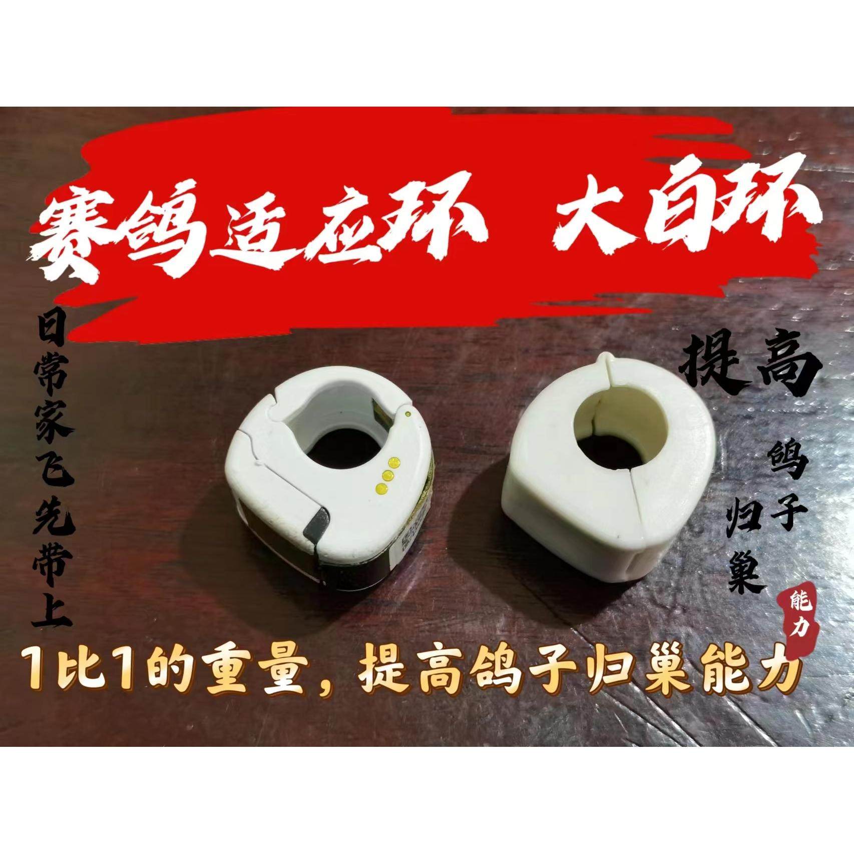 赛鸽适应环无芯片大白环识别环适应负重定位鸽环配重足环训放环