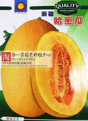 原装哈密瓜种子大田菜种子春季种瓜果四季播蔬菜种子网纹瓜种子