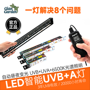Giangarden爬宠LED灯具可调智能UVBUVA水龟鬃狮蜥蜴变色龙补钙灯