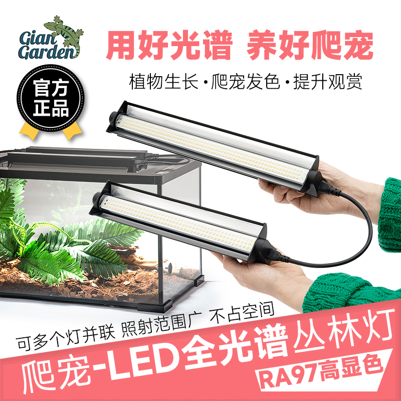 爬宠全光谱LED灯雨林缸植物Giangarden巨人鬃狮守宫蜥蜴发色晒背