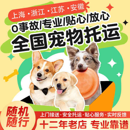 宠物托运航空猫狗浙江杭州随机上海宁波南京安徽合肥动物手续办理