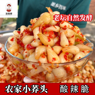 酸辣荞头江西特产小藠头 老坛自然发酵酸泡菜 酸辣脆嫩爽口260g