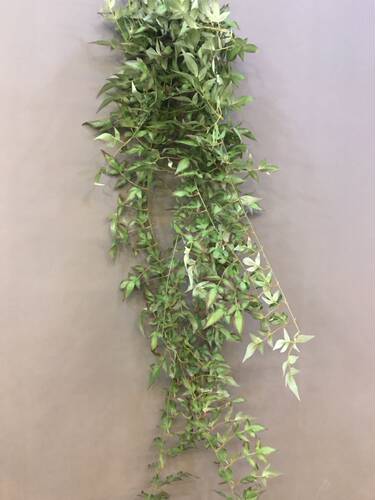 假绿植爬山虎垂挂墙面装饰绢花