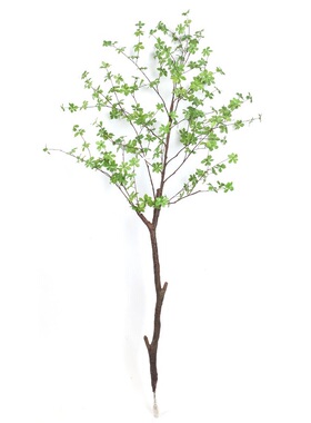 仿真吊钟树 绿植造景室内装饰摄影道具仿真树叶绿色盆栽马醉木