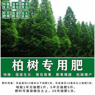 柏树刺柏专用肥料有机肥底肥追肥冲施叶面肥促生长拉直高产肥