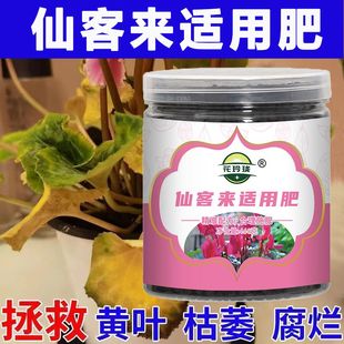 仙客来花肥开花生根缓释颗粒肥盆栽花卉肥预防叶子发黄掉叶烂根