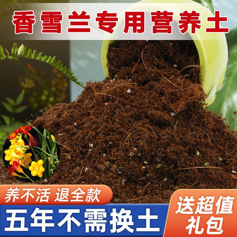 香雪兰专用土家用盆栽营养土疏松透气酸性沙质土壤花卉园艺种植土
