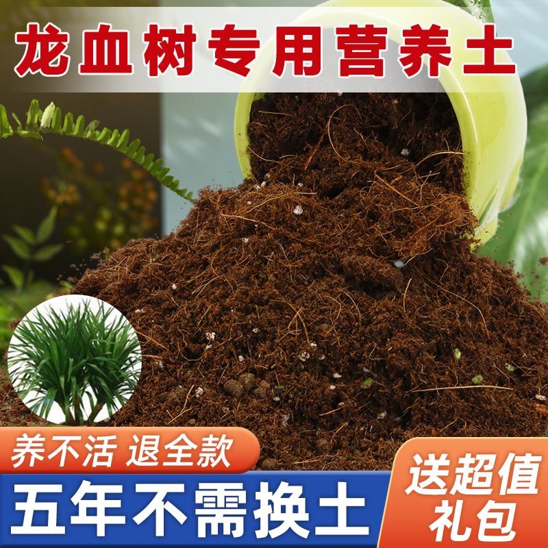 龙血树专用土家用盆栽营养土疏松透气酸性沙质土壤绿植园艺种植土图片