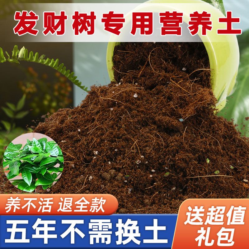 发财树专用土家用盆栽营养土疏松透气酸性沙质土壤绿植园艺种植土
