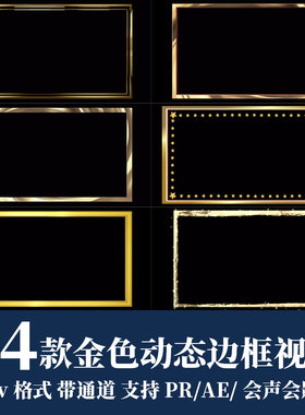 金色动态边框遮罩EDIUS PR 会声会影 剪映fcpx透明通道ED视频素材
