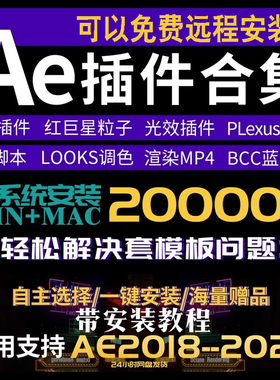 AE全套插件looks调色E3D脚本Particular粒子特效光晕倒影远程安装