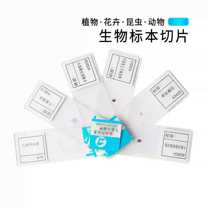 植物根尖纵切洋葱表皮装片生物切片中小学显微镜观察实验玻片包邮