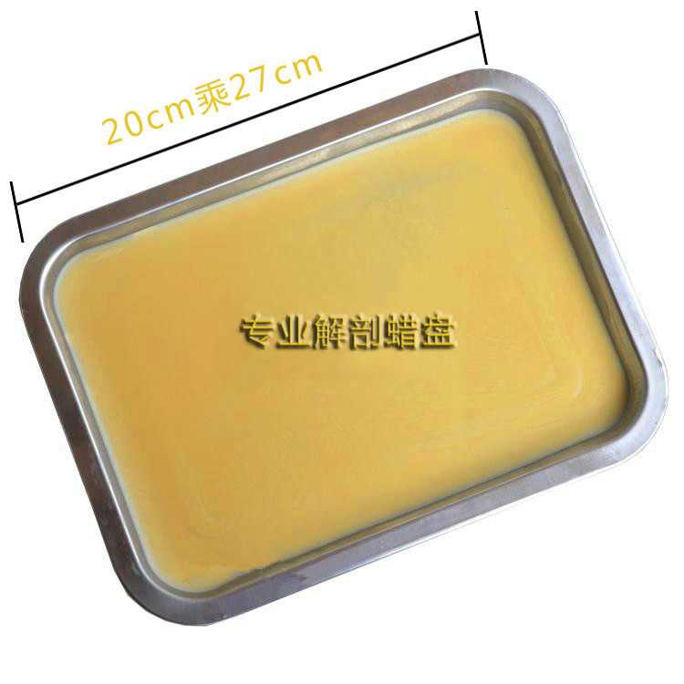 解剖蜡盘 解剖盘 初中高中生物实验器材/教学仪器/生物教学实验
