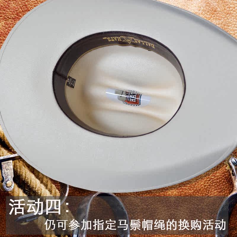 Article équitation DALLAS - Ref 1381741 Image 4