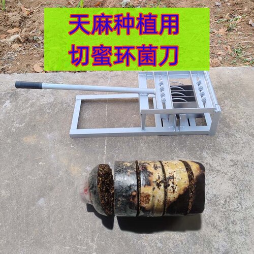 天麻种植用一次切多块切天麻蜜环菌刀铡刀切菌种刀切蜜环菌刀设备