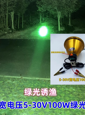 鸿顺宽电压5伏8伏12伏24伏极光100W绿光LED钓鱼夜钓诱鱼调光灯头