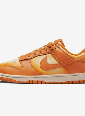 Nike/耐克正品秋季新款女子休闲轻便运动舒适低帮板鞋 DX2953-800