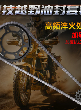 适用于川崎GPZ/GPX500/600改装大小飞齿链轮牙盘油封链条套链配件