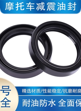 适用诺顿961欧林斯FGR300凯旋675 1050雅马哈FZS1000前叉减震油封