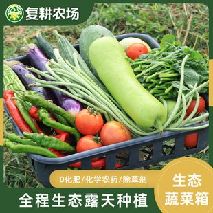 复耕农场 生态新鲜蔬菜应季 0化肥农药除草剂0农残 检出农残赔2万