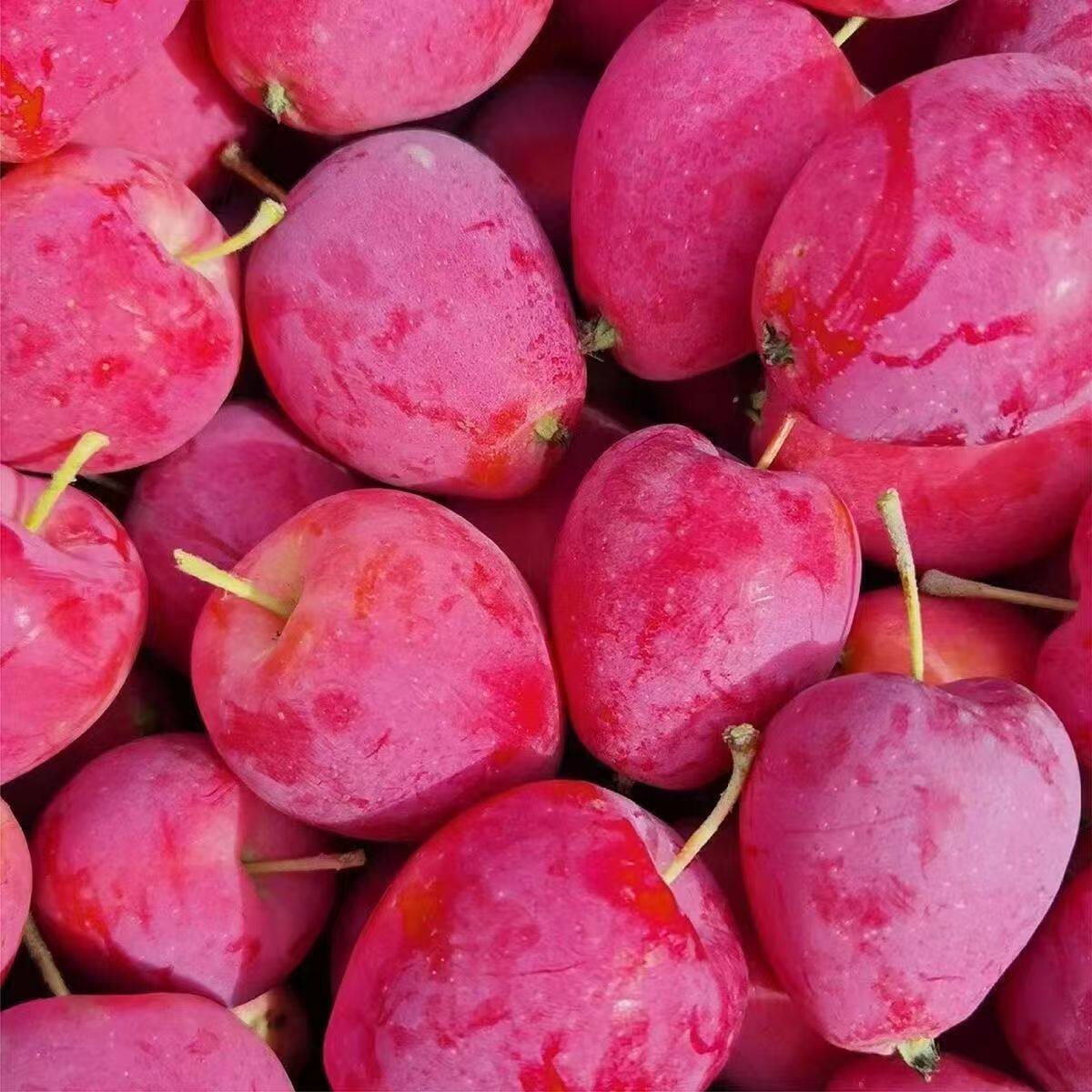 槟果味鸡心果酸甜脆玫瑰香味道好吃好看怀来特产精挑细选一箱包邮