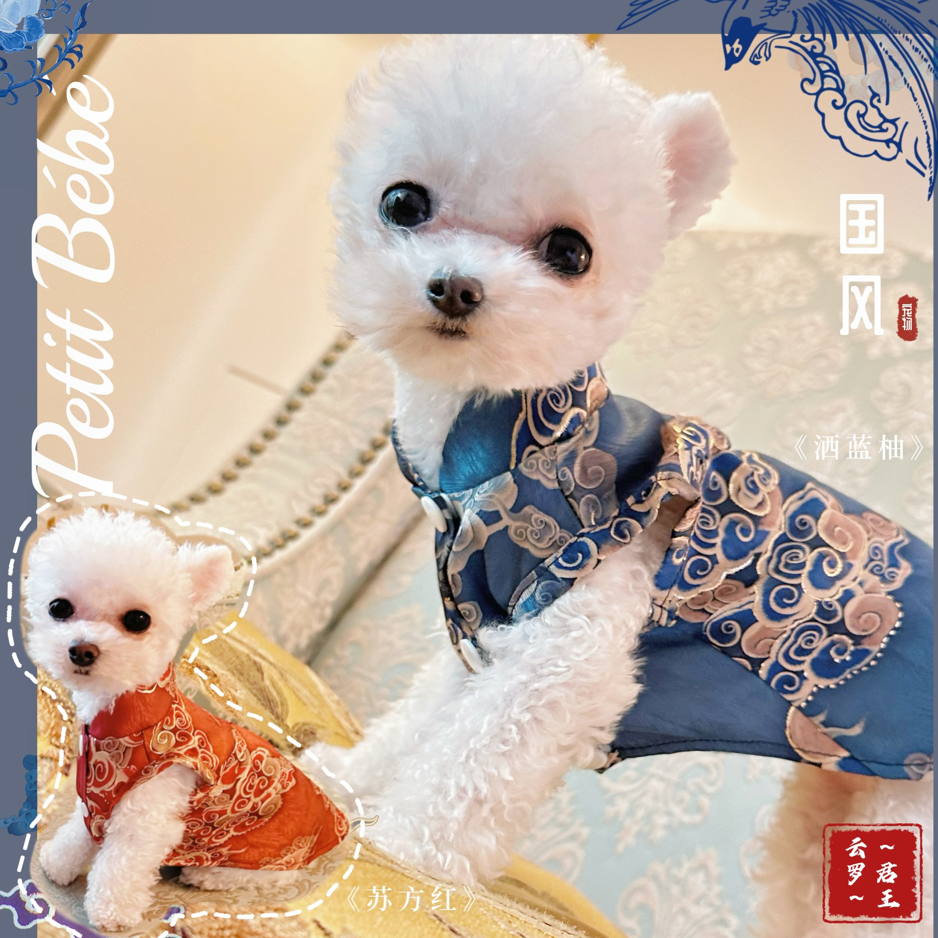 ～君王云罗～衫袍汉服宠物衣服小狗狗薄款唐装马尔济斯布偶猫古装,宠物/宠物食品及用品,狗宠物服装/雨衣,淘宝优惠券,粉丝福利购,淘宝优惠卷