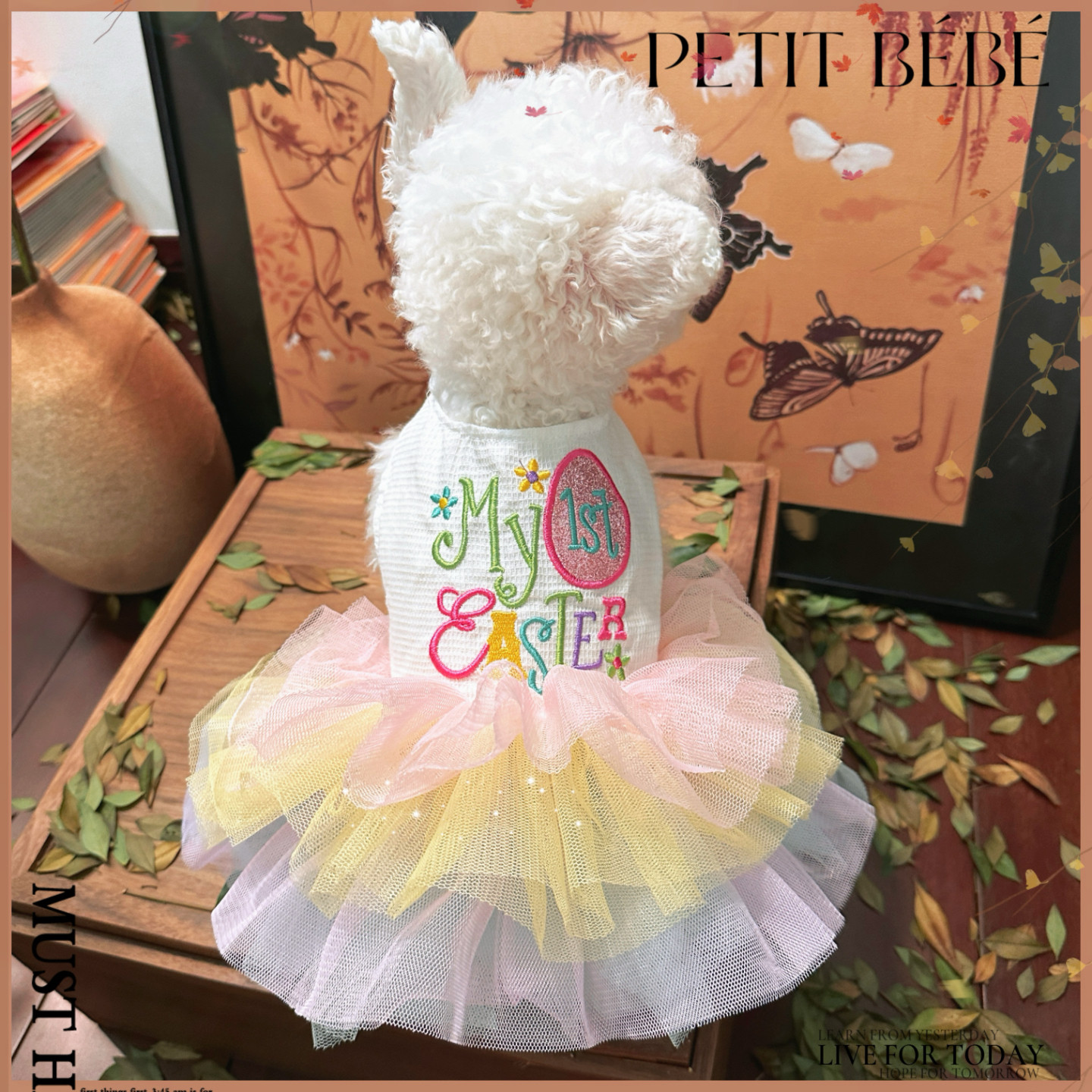 《糖果派对》马尔济斯连衣裙小狗猫咪可爱公主蛋糕比熊纱春夏秋装,宠物/宠物食品及用品,狗宠物服装/雨衣,淘宝优惠券,粉丝福利购,淘宝优惠卷