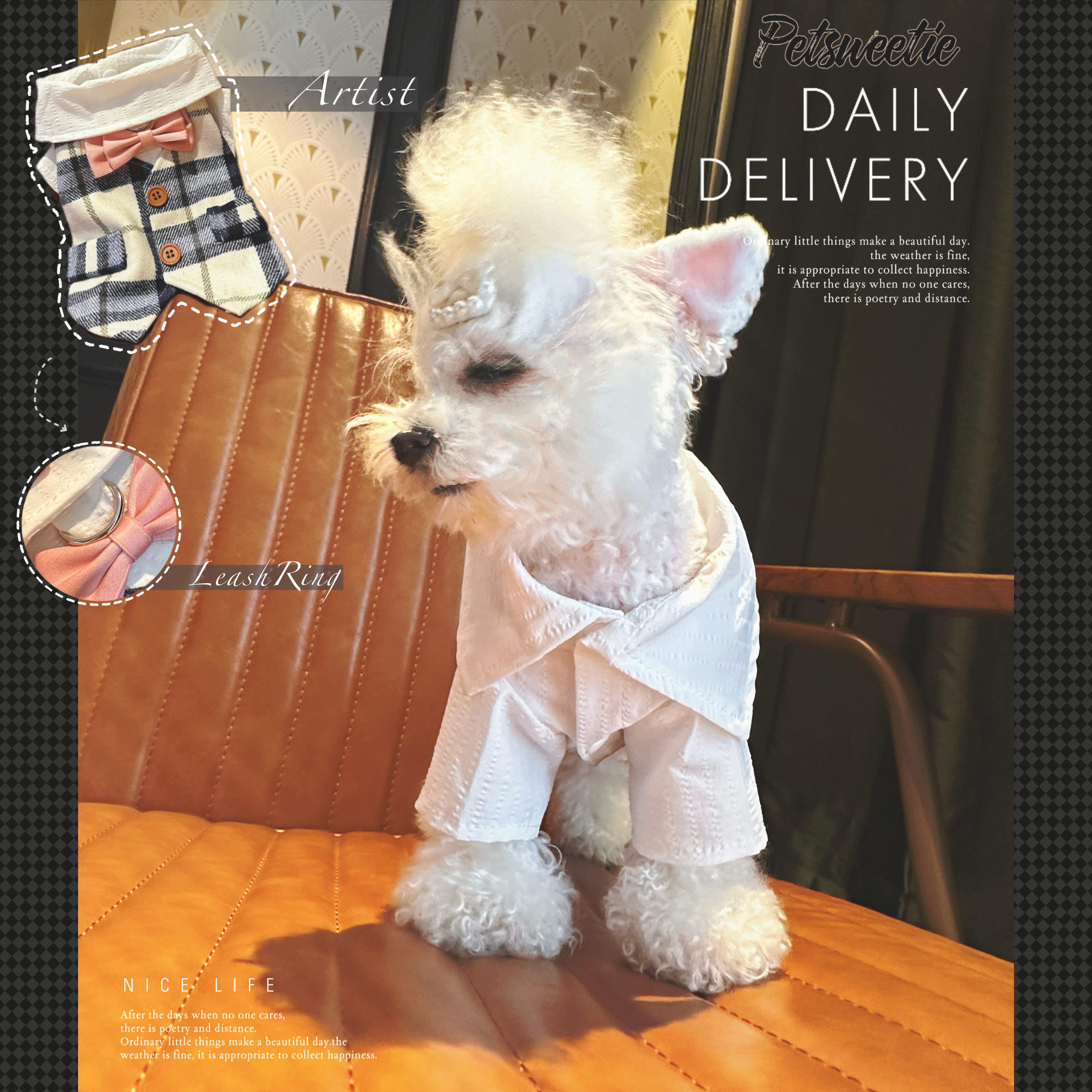 艺术家&middot;秋装 假两件领结燕尾服泰迪美短猫咪全棉绅士西服带牵引