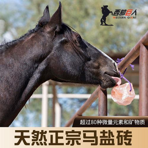 喜马拉雅进口舔盐盐砖