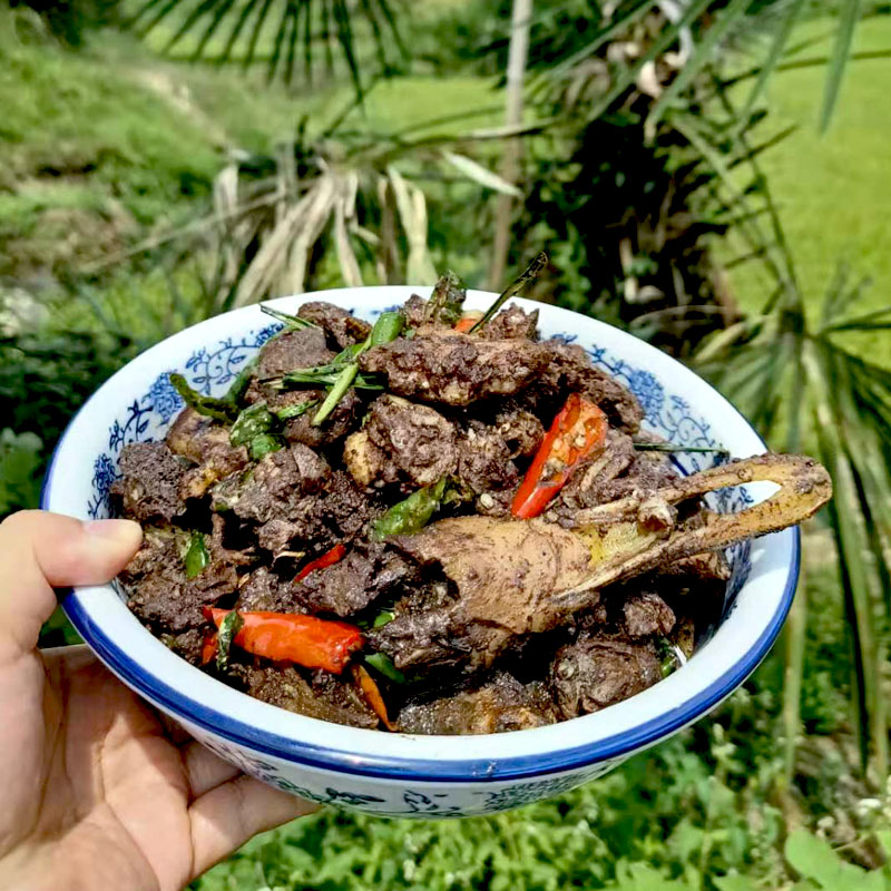 湖南土鸭整只熟食真空包邮即食