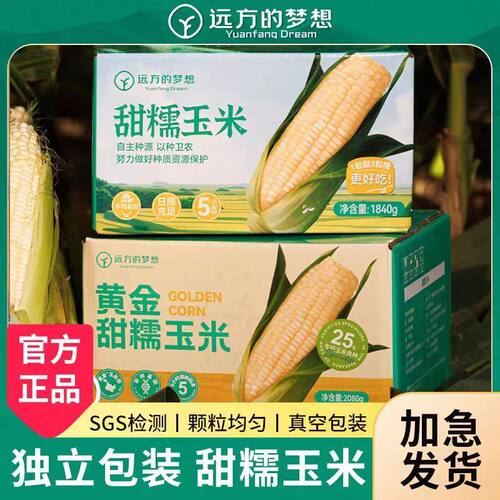 远方好物玉膳房甜糯玉米东北真空包装粗粮玉米棒1.04kg远方的梦想