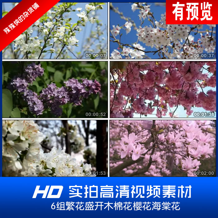 6组繁花盛开木兰花樱花海棠花春天夏季花开实拍高清