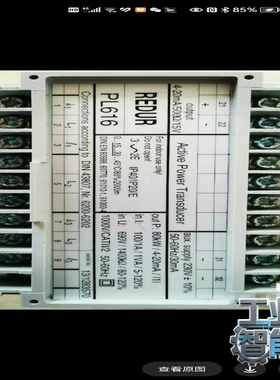 询价~REDUR功率测量模块PL616 100/1A 690V