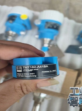 询价~E+H温度传感器TMT182-A41BA的，181的3个