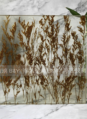 玄关隔断艺术夹胶植物现代透明