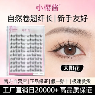 太阳花假睫毛自然单簇分段懒人新手化妆师 小樱酱2026新款 爆款